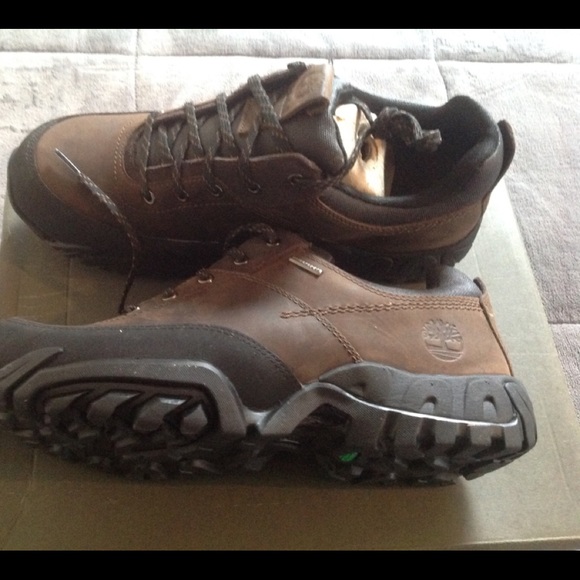 timberland rolston low mens